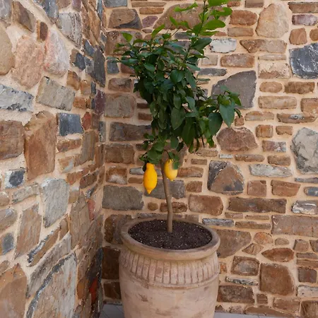 Orue Baserria En Urdaibai Casa di campagna *