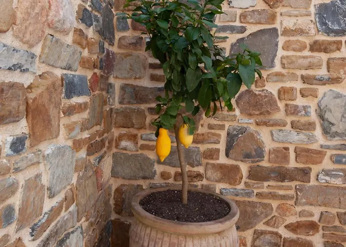 Orue Baserria En Urdaibai Kır Evi *